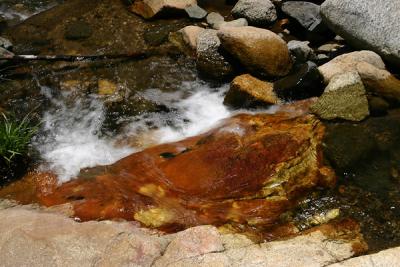 Img_1286w.jpg
