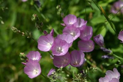 Img_0784w.jpg
