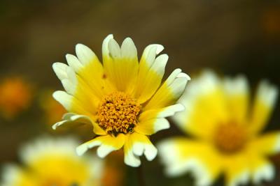 Img_0886w.jpg