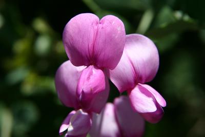 Img_0849w.jpg
