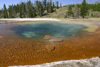 Beauty Pool