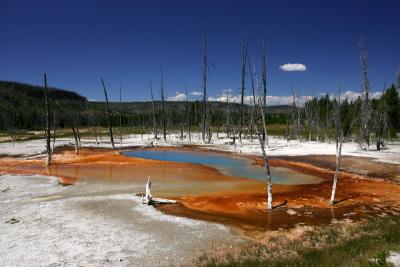 Opalescent Pool