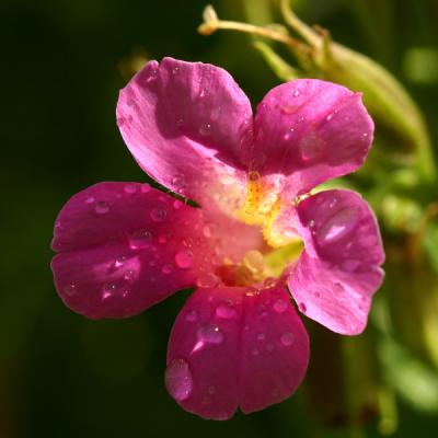 IMG_3811w.jpg
