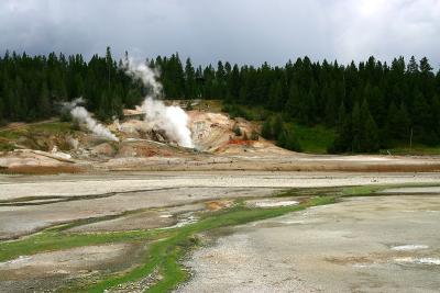 IMG_4085w.jpg