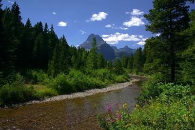IMG_5267w.jpg