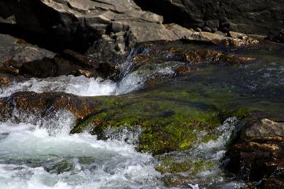 IMG_5330w.jpg