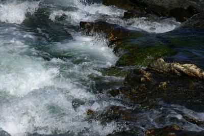 IMG_5332q.jpg