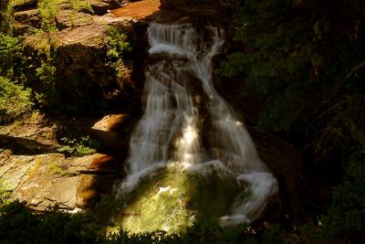 IMG_5717q.jpg