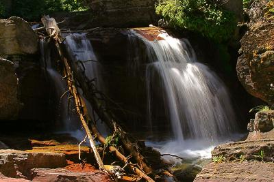 IMG_5735w.jpg