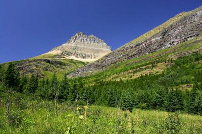 IMG_5978w.jpg
