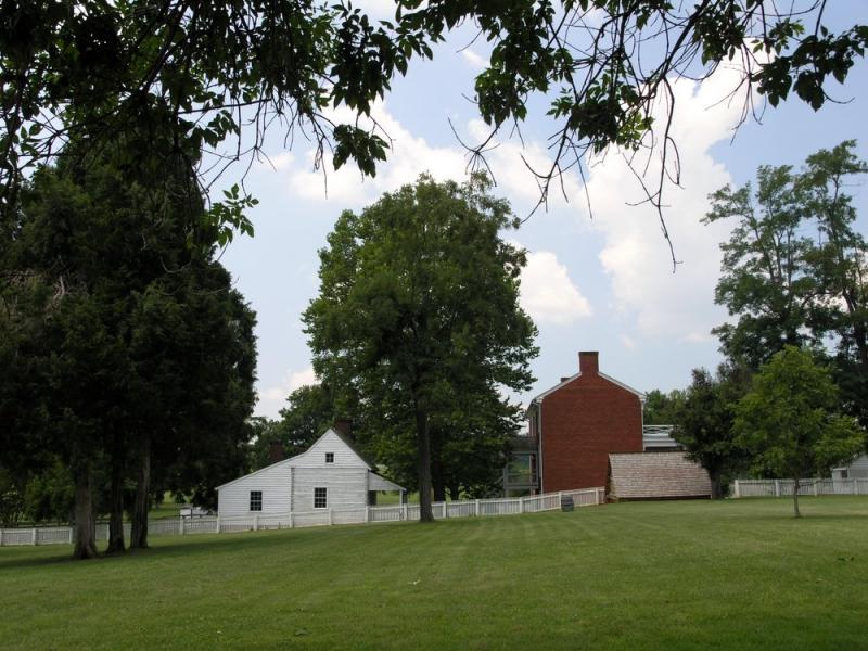 P7239278.jpg