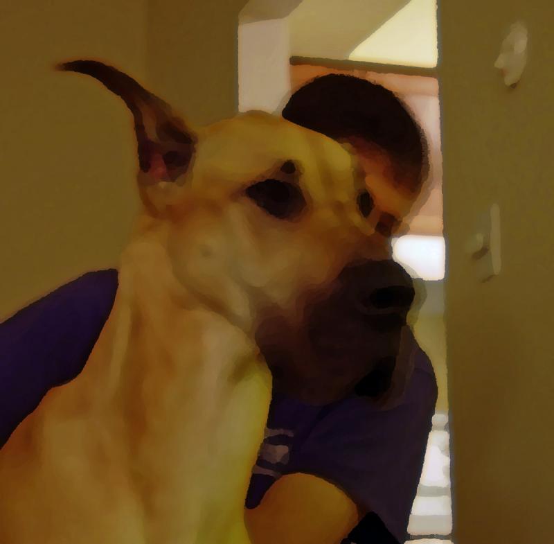 Roxy and Tyler, Palette Knife-style.