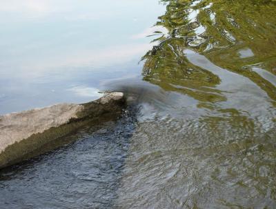 I never get tired of taking pictures of the flow of water. Maybe it's an Aquarius thing.