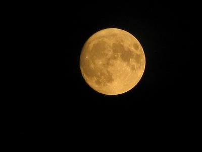 Moon.jpg