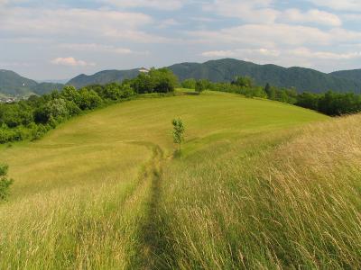 Alone on rotund hill