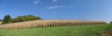 Autumn panorama