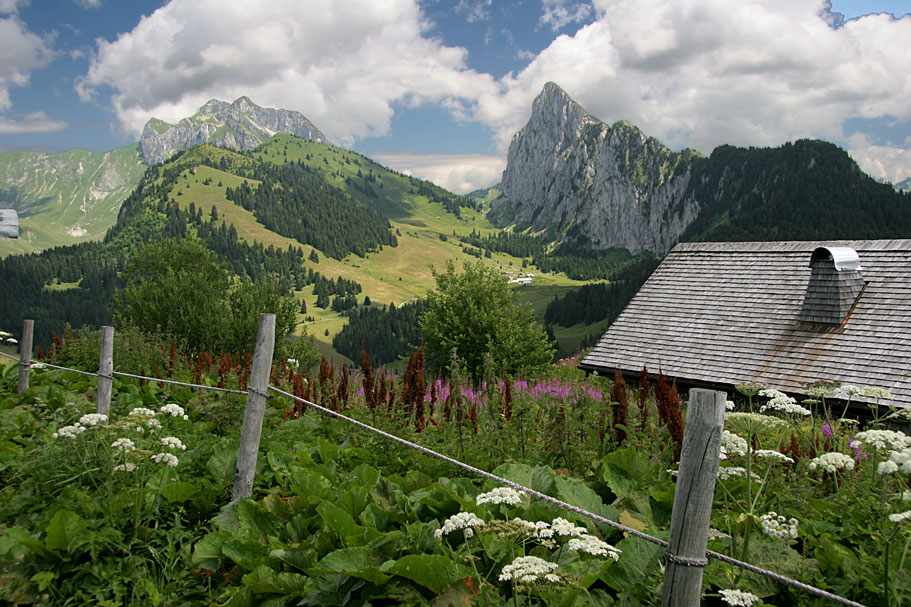 Vue des chalets