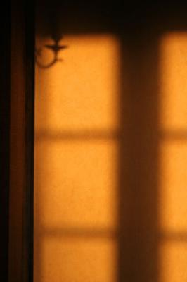 Shadows on the wall