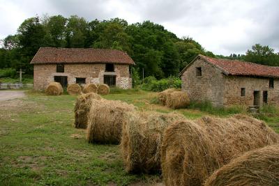 Hay bales and old barn