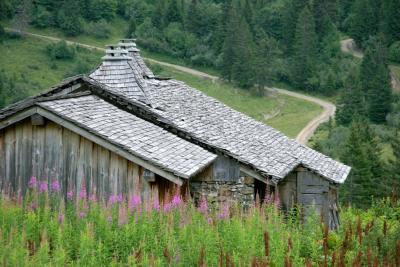 Intgr au paysage