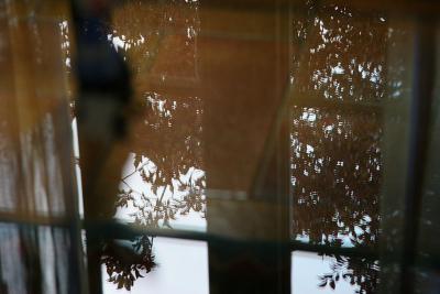 Reflection on a glass table