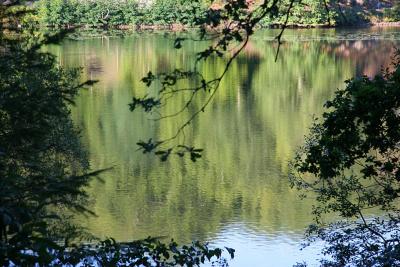 Reflection (La Tricherie pond)