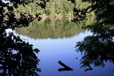 Reflection (La Tricherie pond)