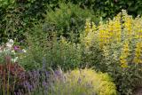 En bordure de terrasse