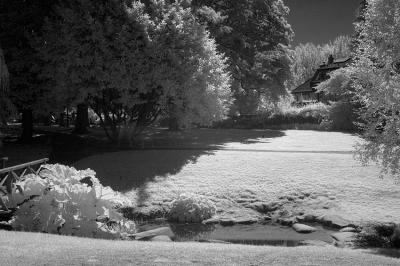 Across The Creek (IR)