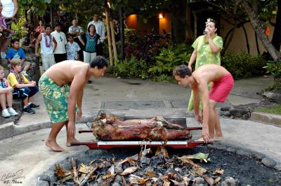 Luau Pig