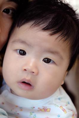 Innocent II