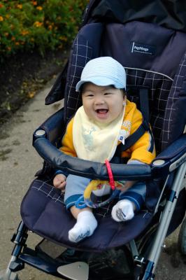 v3/67/542967/3/50779094.WildBabyInStroller.jpg