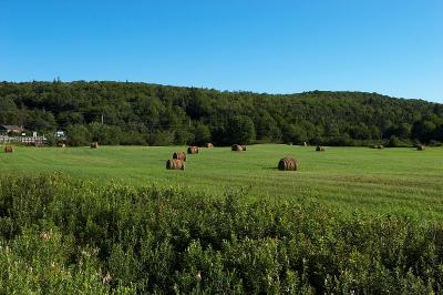 A green field near Sherbrooke Village