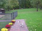 DSC00080.JPG