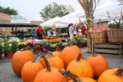 Farmer's Market