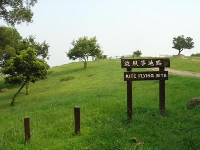 Kite Flying Site  (5-8-2005)