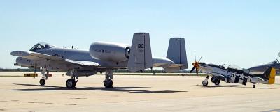 Warthog and Mustang