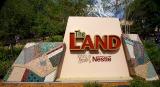 The New Land