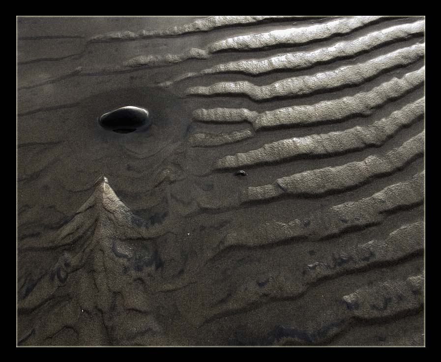 zen tide