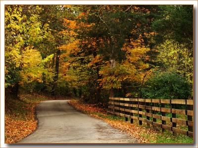 fall9959.jpg