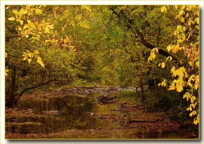 fall9995.jpg