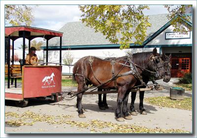 horsepark0842.jpg