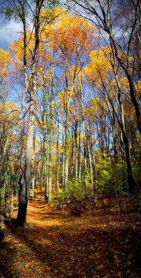 Harper's Ferry, October