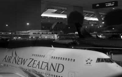 IMG_2308_418 copy.jpg