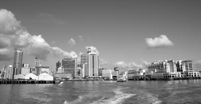 IMG_2395_444 copy.jpg