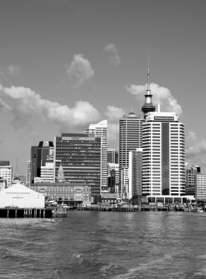 IMG_2396_445 copy.jpg