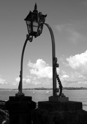 IMG_2406_447 copy.jpg