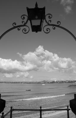 IMG_2409_448 copy.jpg
