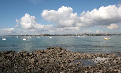 IMG_2411_449 copy.jpg