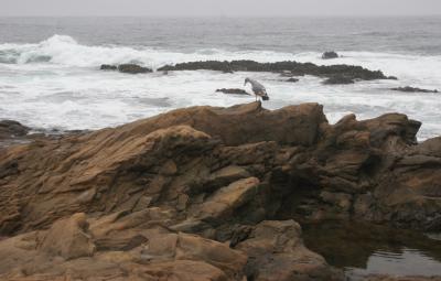 IMG_4312 copy.jpg